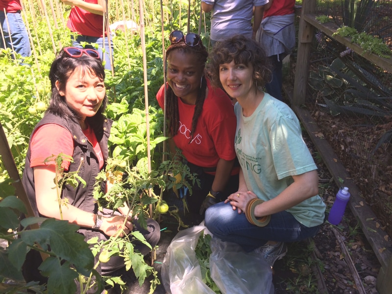 Sustainability Macy's, Inc. (M)